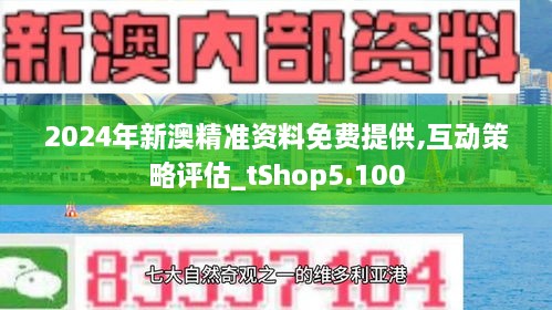 2025新澳精准正版资料-精选解释解析落实