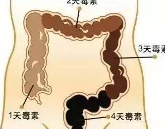 半个月没大便，如何应对便秘问题及其潜在影响