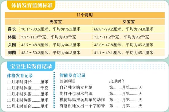 揭秘十一月龄宝宝的发育标准——全方位解读宝宝成长里程碑