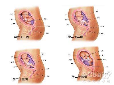 六个月宝宝发育标准