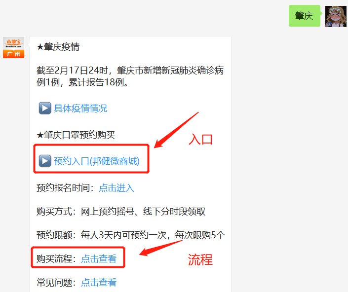 广东省肇庆市口罩预约系统，应对疫情的新举措与公众参与的重要性