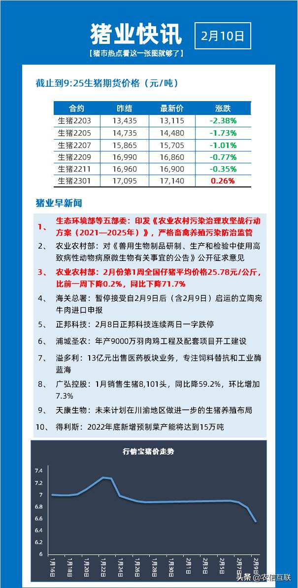 广东省猪价网，洞悉市场动态，引领行业前行