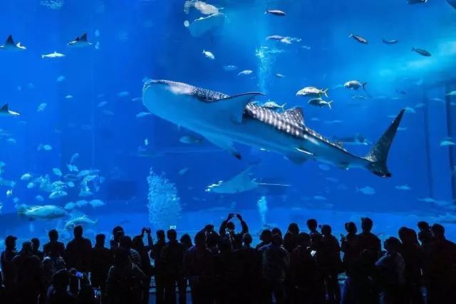 江苏海美水族科技，引领水族科技新纪元