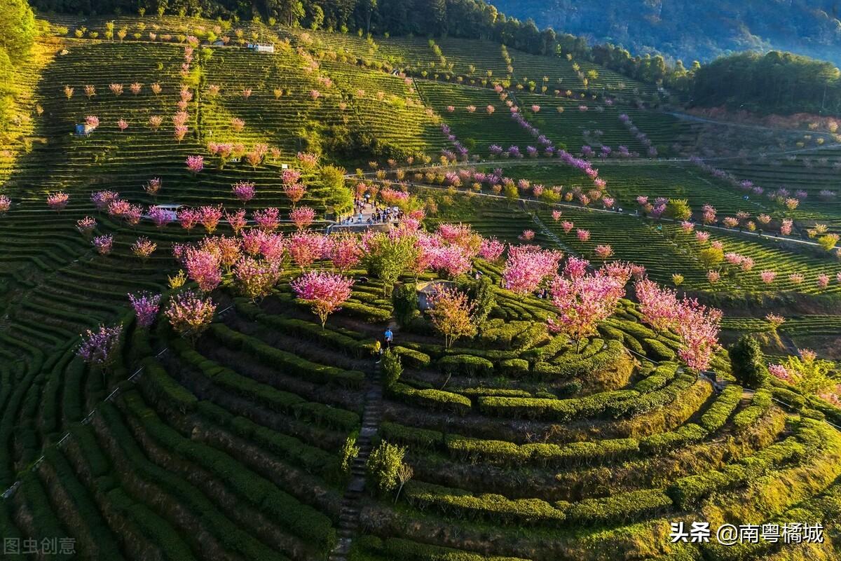 广东长计运输有限公司，构建现代物流与卓越服务的典范