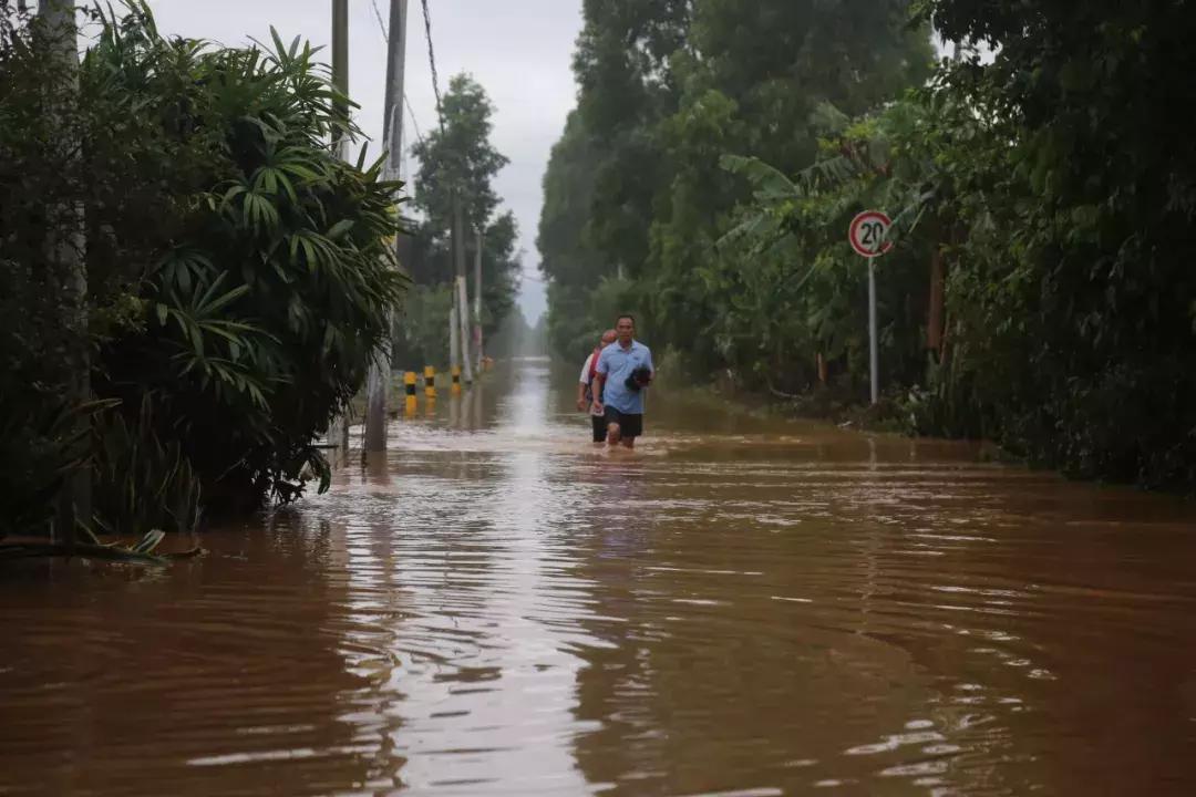 2017年广东省台风纪实，风雨中的坚守与前行