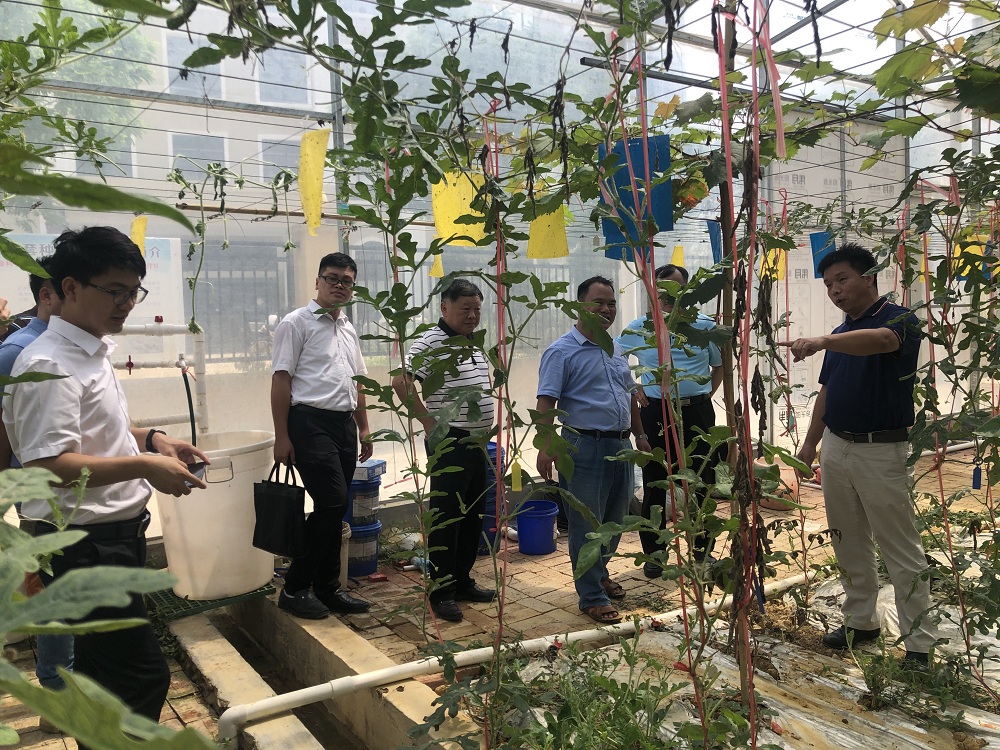 广东省农业科学院农业与生物技术研究所——农加所的探索与发展