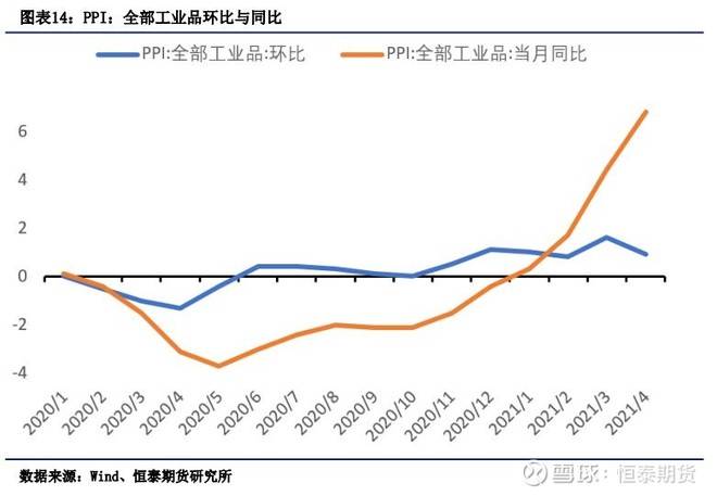 八个月的柯基，成长、特点与照顾指南