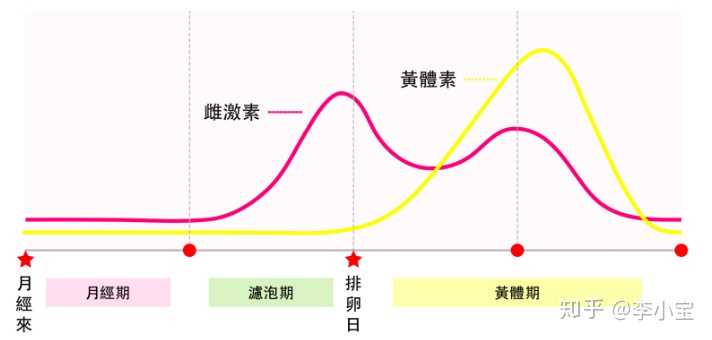 坐月子与一个月的特殊大姨妈周期，深入了解产后恢复的重要阶段