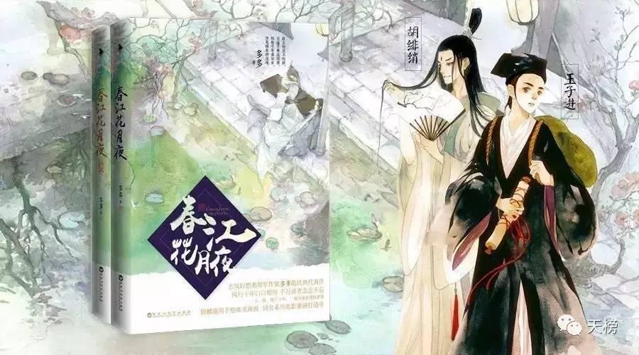 广东杨柳音实业有限公司，探索、创新与发展的实践之路